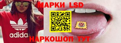 гидра Славгород